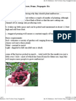Mulberries - How to Grow, Prune, Propagate Etc