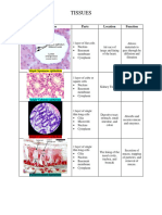 Tissues Parts Location Function