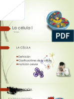 S3 Citología I