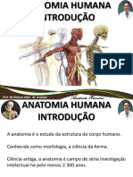 Aula de Introducao A Anatomia Humana