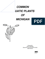 Aqautic Plants