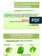 04-Clasific Hort Org Cosecha-PVI 2do