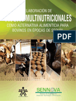 Elaboracion de Bloques Multinutricionale