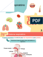 Sistema respiratório