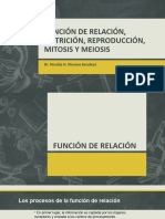 11-TEORIA - FUNCION de Relación Nutricion Reproduccion Mitosis