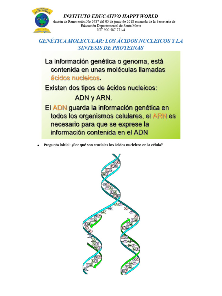 Replicación y Síntesis de Proteínas | PDF | Adn | Rna