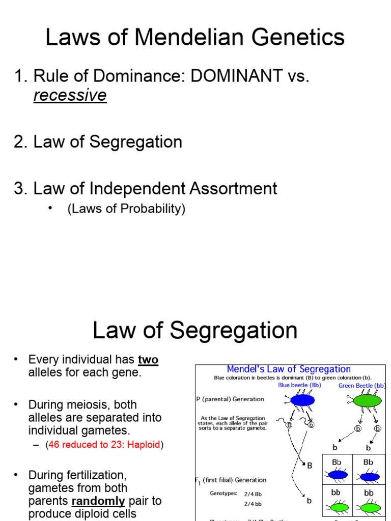 CH 6C Non Mendelian Genetics | PDF