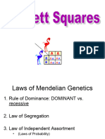 CH 6B Mendelian Genetics Punnett Squares
