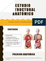 Estudio Estructural Anatómico-.