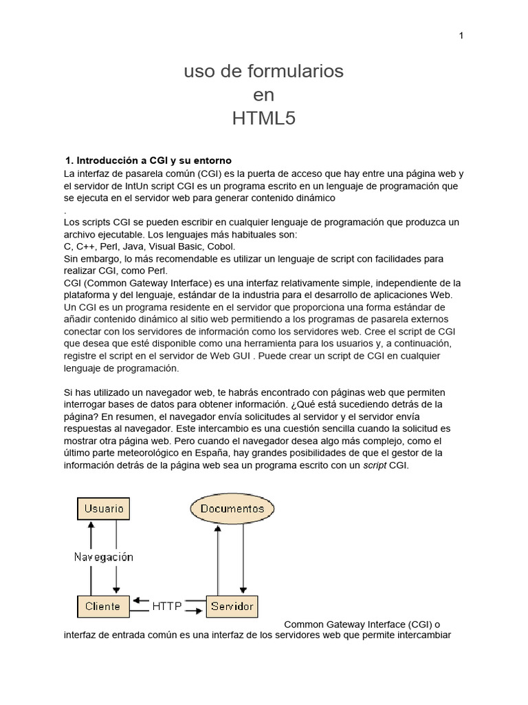 Formularios HTML5 y CGI: Uso y Ejemplos | PDF | Redes | Internet y web
