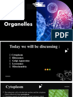 Bio Presentation (Cell Organelles)