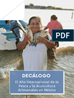 Decalogo AIPAA Mexico