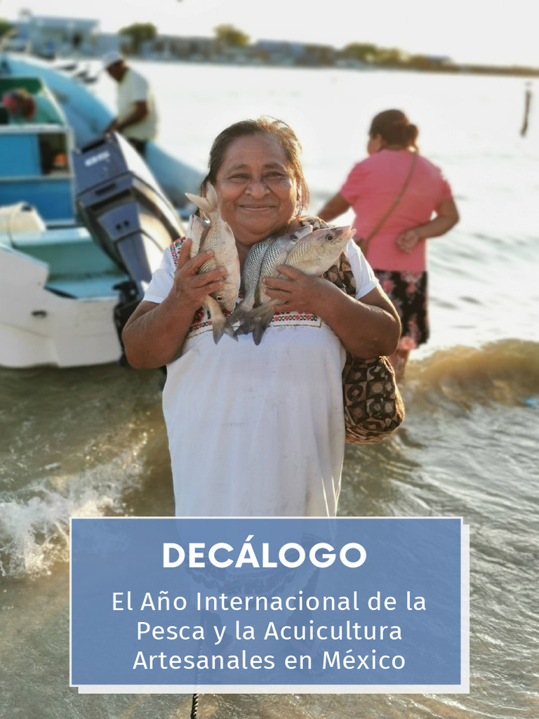 Decalogo Aipaa Mexico Pdf Sustentabilidad Igualdad De Género