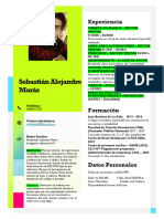 Curriculum Sebastián Marás