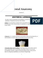 Lec 2 C Anatomical Landmarks