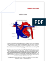 The Normal Heart