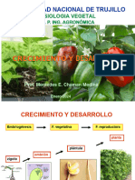 3.3. Crecimiento y Desarrollo