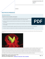 Células Del Sistema Inmune