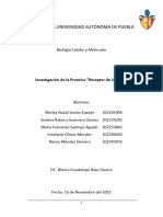 Proteina Receptor de Insulina