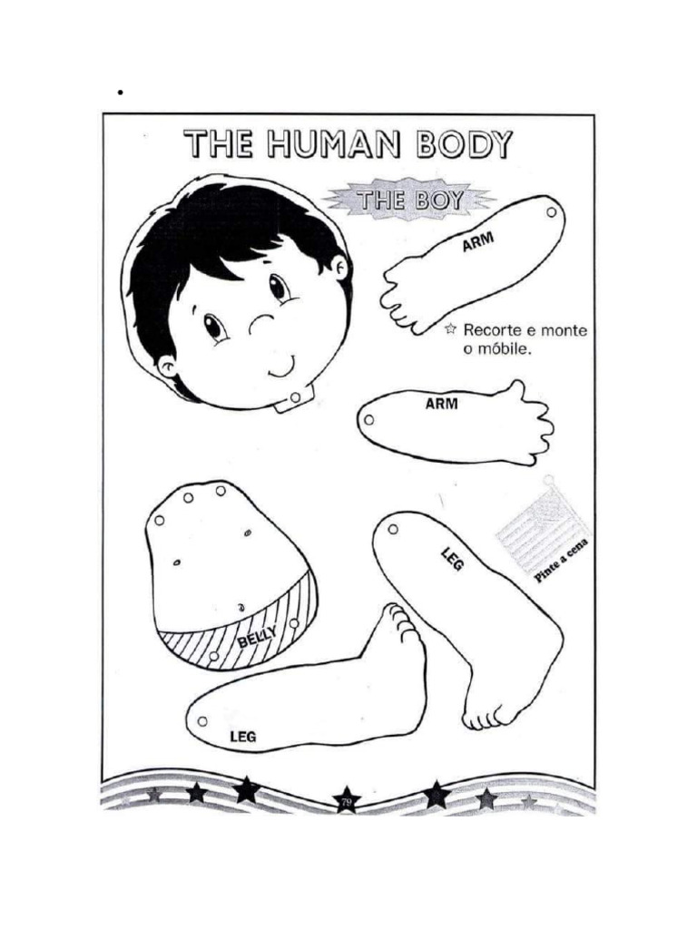 Partes del cuerpo | PDF
