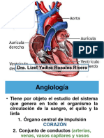 Anatomia y Fisiologia Del Corazon