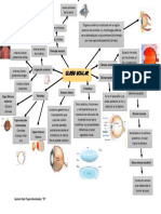 Mapa de Ojo