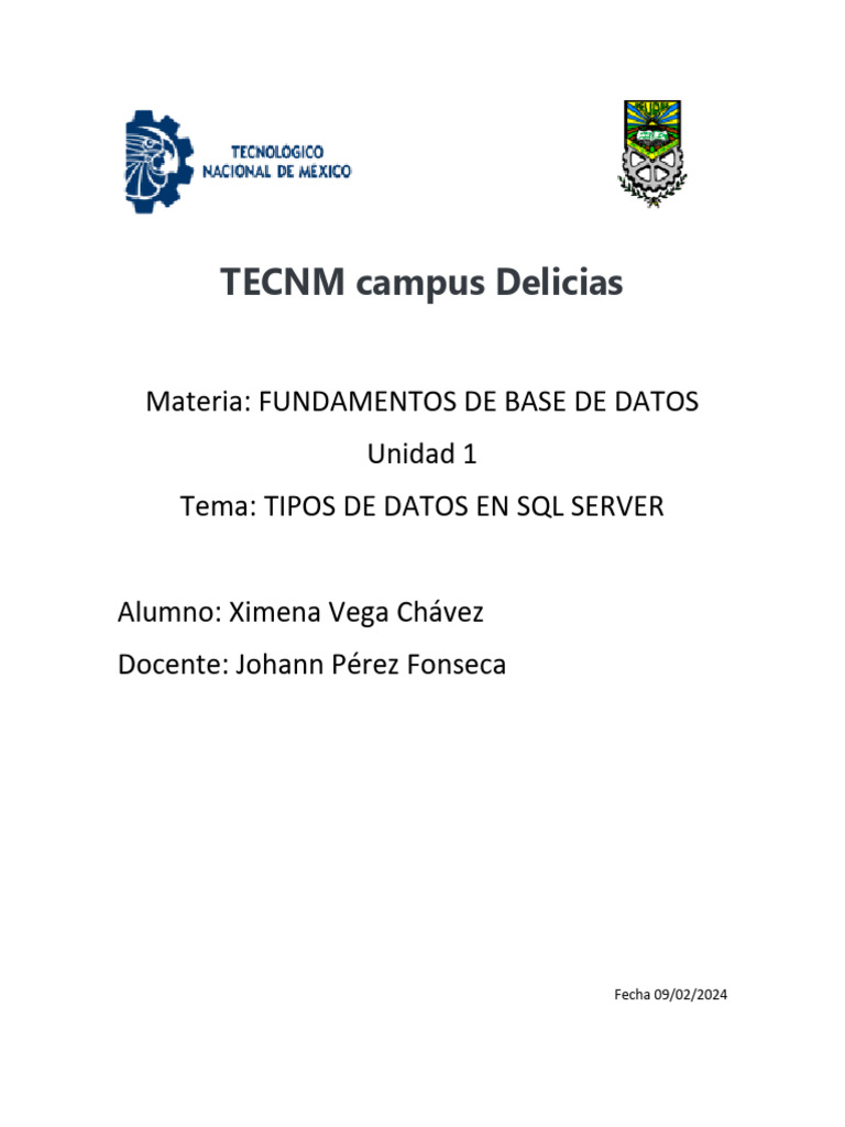 Tipos de Datos en SQL Server | PDF