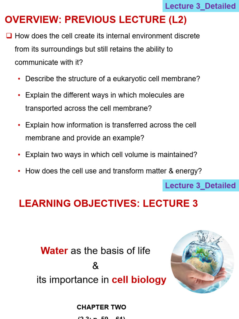 Overview: Previous Lecture (L2) | PDF | Water | Molecules
