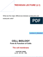 L2 the+Cell+Membrane