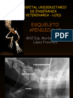 Esqueleto Apendicula 4 Virtual