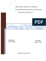 Lesiones Del Tejido Blando