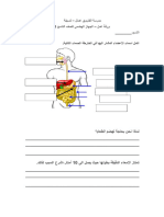 ورقة عمل الجهاز الهضمي