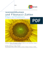 Mathe - Booklet - S3 - Folgen Und Funktionen - Lösungen