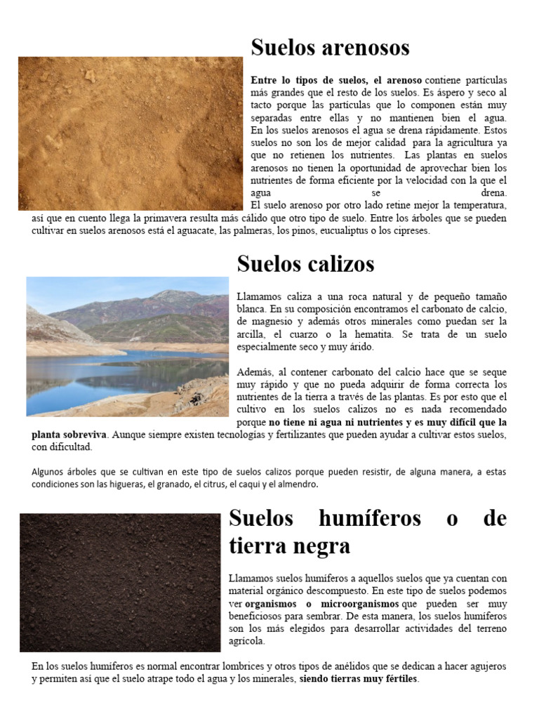 Tipos de Suelos: Calizos y Humíferos | PDF | Suelo | Caliza