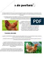 Documento A4 Apuntes Orgánico Blanco - 20240220 - 191901 - 0000