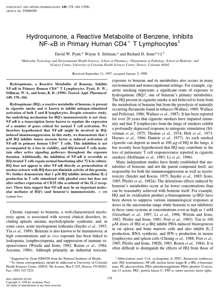 Pyatt 1998 | PDF