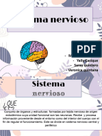 Presentación1 Sistema Nervioso