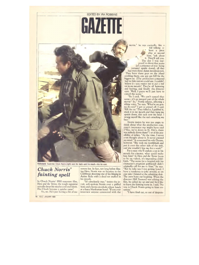 Chuck Norris Interview PDF