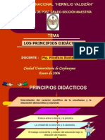 Principios Didacticos