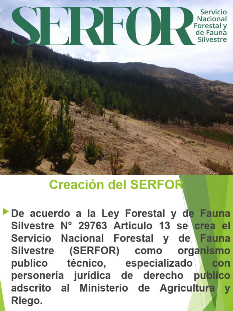Creación y Funciones del SERFOR | PDF | Los bosques | Fauna