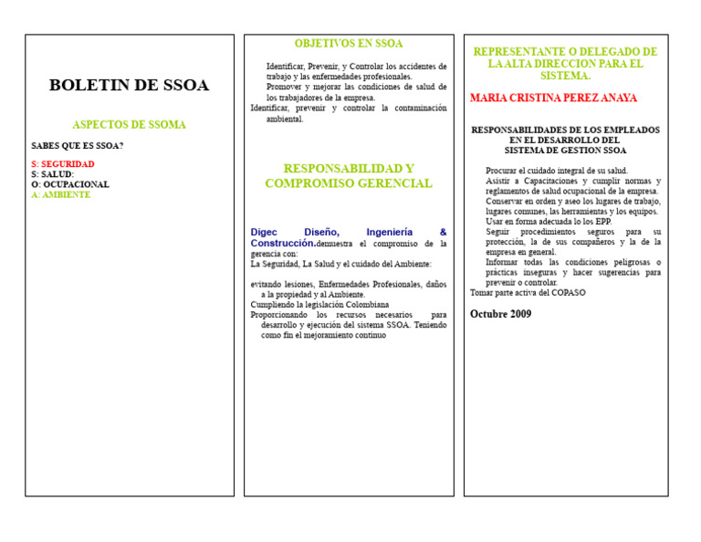Responsabilidades en SSOA y Salud Laboral | PDF | Seguridad y salud ...