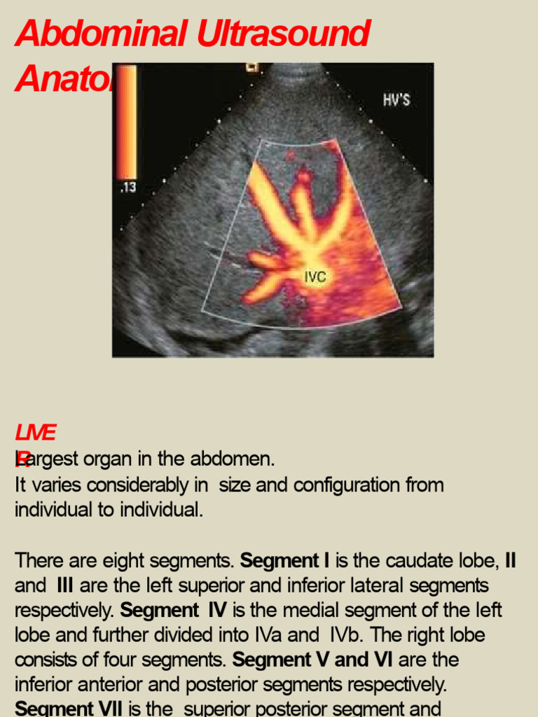 Abdominal Ultrasound Anatomy Overview | PDF | Liver | Abdomen