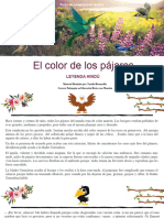 El Color de Los Pájaros