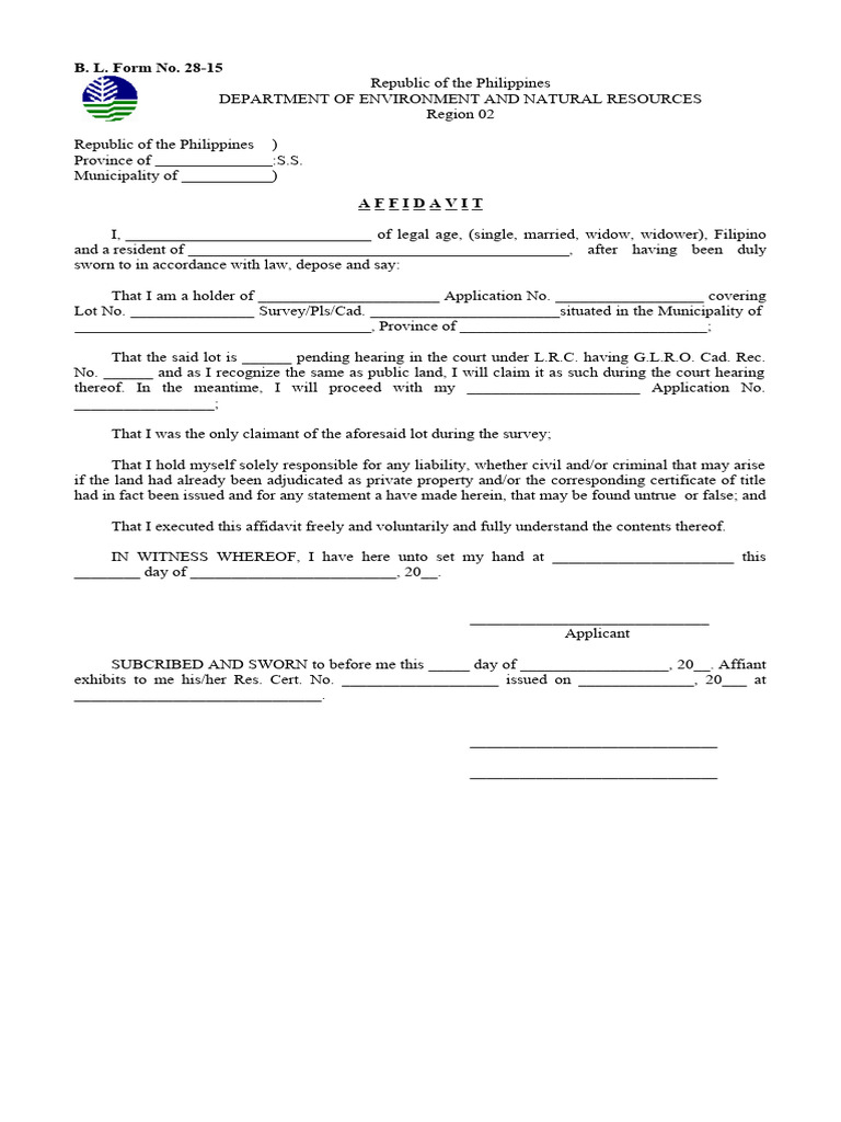 Single Affidavit | PDF