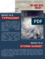 The 2013 Yolanda Typhoon and Storm Surge