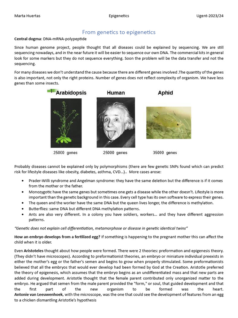 1a From Genetic To Epigenetics | PDF