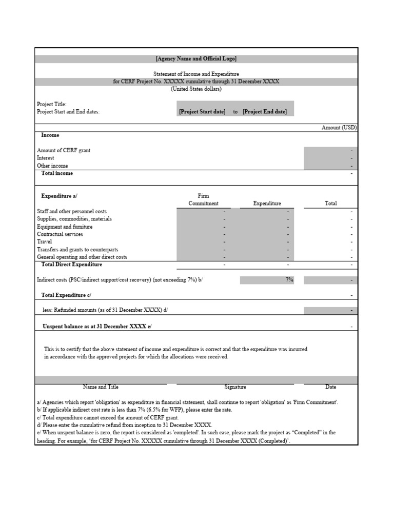Financial Report for CERF Project | PDF | Expense | Business