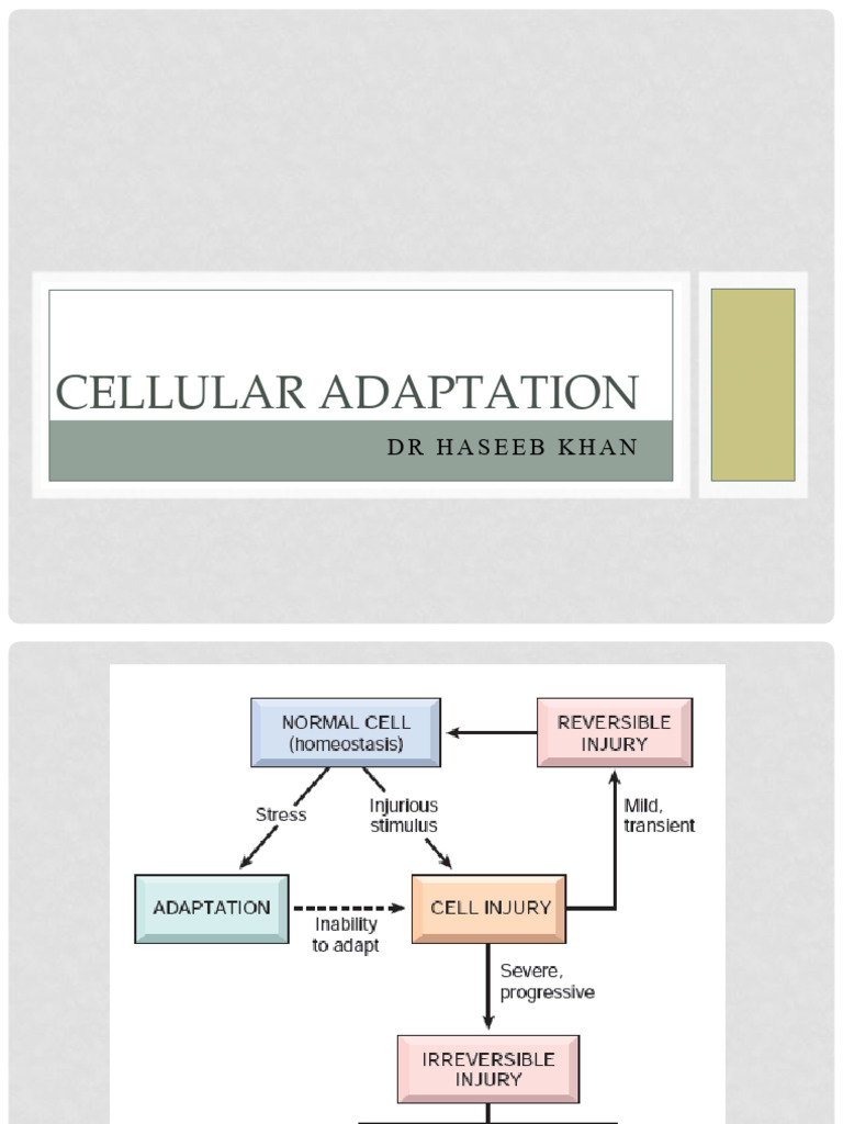 Common Cellular Adaptations