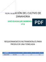 Fertilizacion de La Zanahoria Jose Guadalupe Moreno Rivera