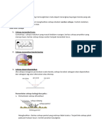 Modul Cahaya